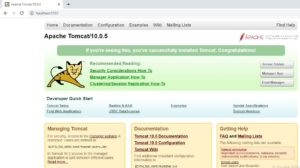 Tomcat web server successful installation