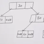 Binary Tree